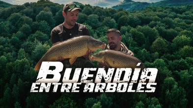 Imagen de Buendía entre Árboles - 3