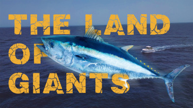 Imagen de The Land of Giants Canarias - 3