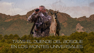 Corzos en los montes universales