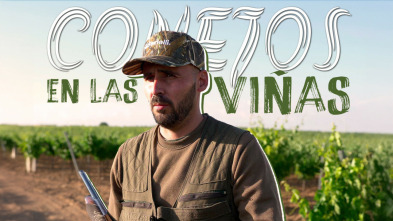 Imagen de Conejos en las viñas - 3
