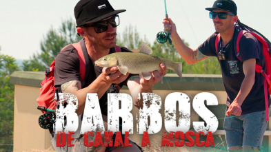 Imagen de Barbos de canal a mosca - 3