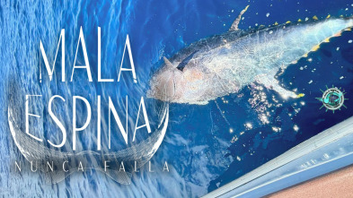 Imagen de Mala espina nunca falla - 3
