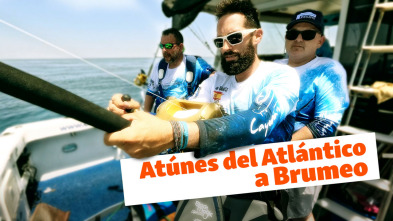 Imagen de Atunes del Atlántico a Brumeo - 3