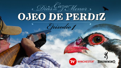 Días de caza menor. Ojeo de perdiz Ep.1 con Browning