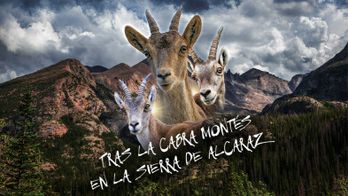 Imagen de Tras la cabra montés en la Sierra de Alcaraz - 3