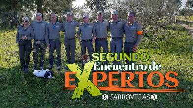 Imagen de II Encuentro expertos de Iberalia Go! - 3