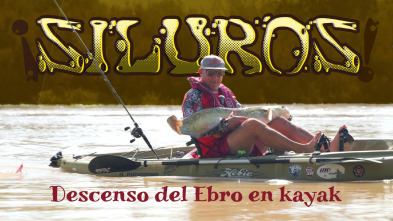 Imagen de ¿Siluros!. Descenso del Ebro en kayak - 3