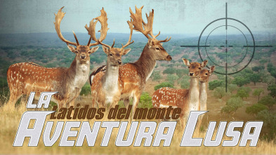Imagen de Montería San Marcos, la aventura lusa - 3