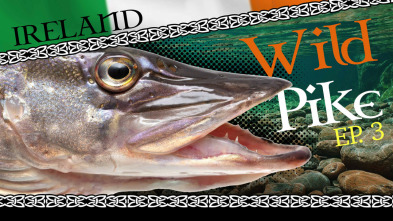 Imagen de Wild Pike Ireland - capítulo final - 3