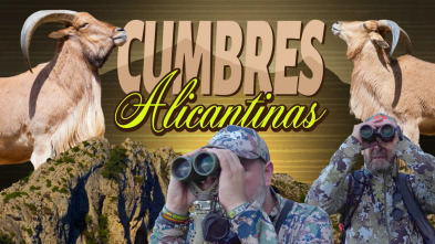 Imagen de Arrui en las cumbres alicantinas - 3