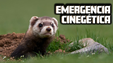 Imagen de Emergencia cinegetica - 3