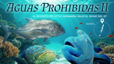 Imagen de Aguas prohibidas Ep 2 El secreto de little andamán - 3