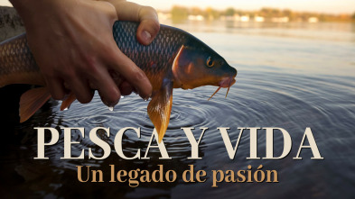 Imagen de La pesca y la vida, un legado de pasión - 3