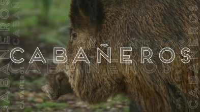 Imagen de Cabañeros - 3