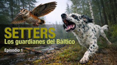 Imagen de Setters: Los Guardianes Del Báltico - 3