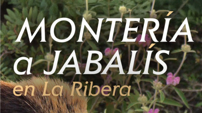 Imagen de Montería en la ribera a jabalíes - 3