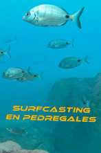 Surfcasting en pedregales