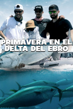 Imagen de Primavera en el Delta del Ebro - 2
