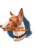 Imagen de Podencos: La sintonía del campo - 2