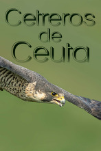 Imagen de Cetreros de Ceuta - 2