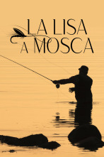 Imagen de La lisa a mosca - 2