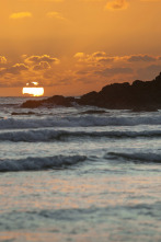 Imagen de Galicia, calamares en Baiona - 2