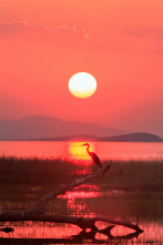 De pesca en el lago Kariba, Zimbabwe