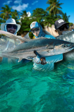 Imagen de El secreto de las Seychelles - 2