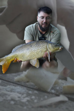 Imagen de Carpas a superficie con pan - 2