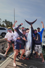 Pesca del atún gigante en temporada