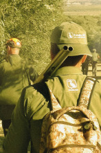 Imagen de Guerra galana en Huétor Tájar - 2