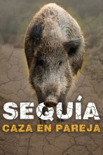 Imagen de Sequía, aguardos en épocas de poca agua - 2