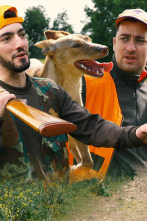 Imagen de A conejos con podencos - 2