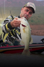Imagen de Basses jienenses - 2