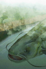 Imagen de Gigantes en la niebla - 2