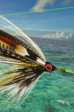 Imagen de Fly Fishing - 2