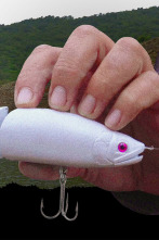 Imagen de Sombras bajo los señuelos - 2