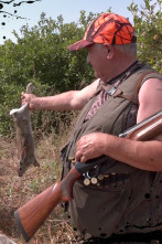 Imagen de Cazadores y perros zarceros - 2