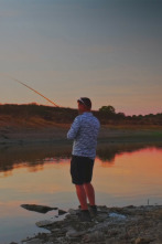 Imagen de Volviendo al origen - 2