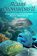 Imagen de Aguas prohibidas Ep 2 El secreto de little andamán - 2