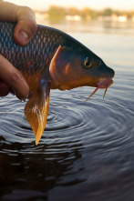 Imagen de La pesca y la vida, un legado de pasión - 2