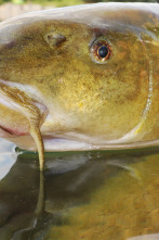 Imagen de Colosos de Ruidera - 2