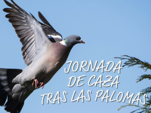 Jornada de caza tras las palomas