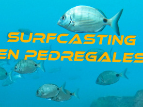 Surfcasting en pedregales