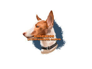 Imagen de Podencos: La sintonía del campo - 1