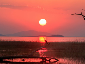 De pesca en el lago Kariba, Zimbabwe