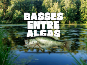 Basses entre algas