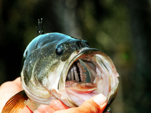 Imagen de Top Water Frog 2 0 - 1