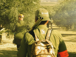 Imagen de Guerra galana en Huétor Tájar - 1