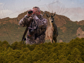 Corzos en los montes universales